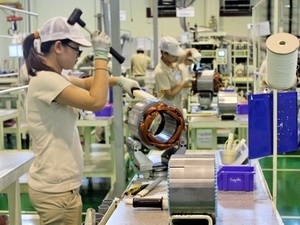 Dong Nai leads in FDI attraction